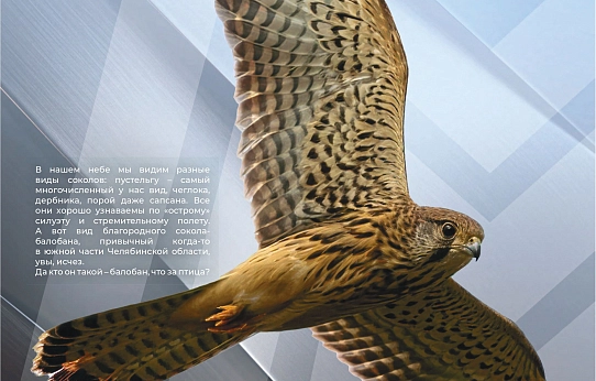 Так выглядит совершенство