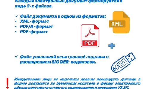 Исключительно в электронной форме