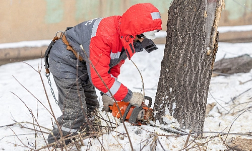 Убрать старое, чтобы посадить новое
