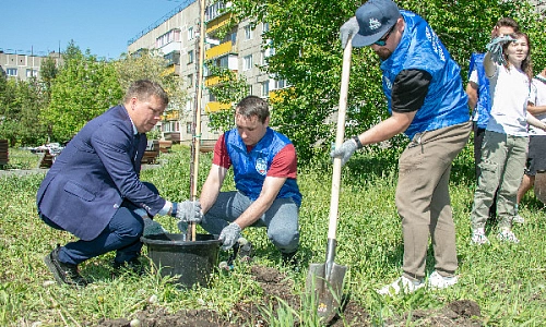 Молодые саженцы для сквера Молодёжного