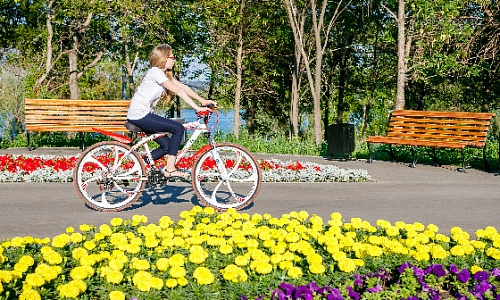 На велосипеде – в лес
