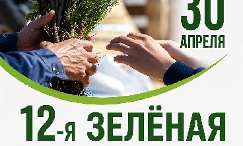 Сделаем наш город зеленее!