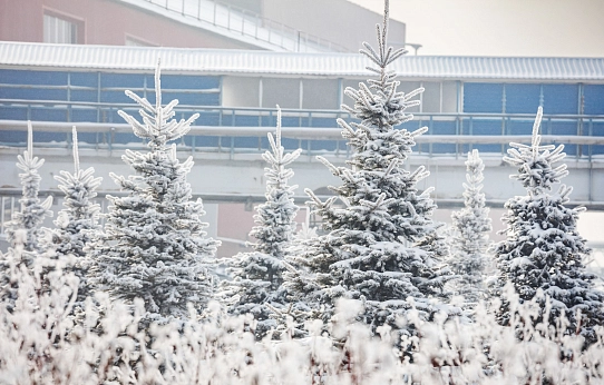 Прощай, зима!