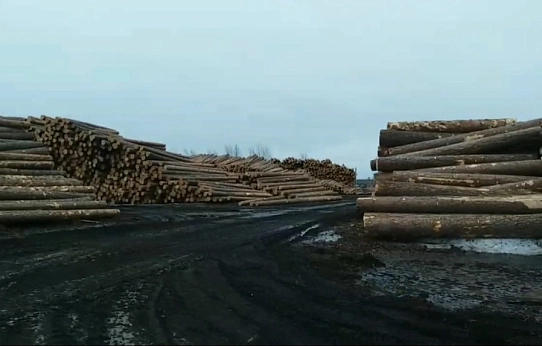 Остановили незаконный экспорт