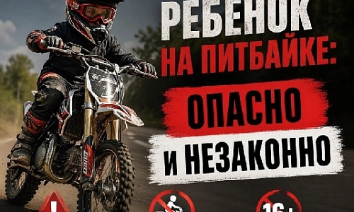 Дети на питбайке